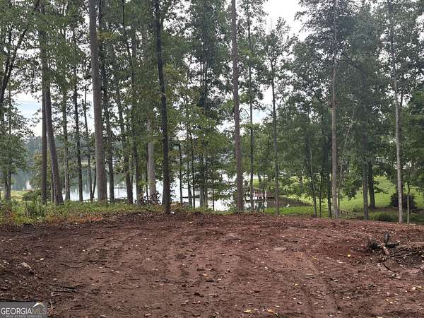 0.59 Acres of Residential Land for Sale in Sparta, Georgia