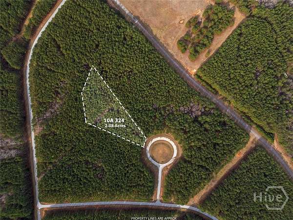 2.38 Acres of Residential Land for Sale in Tignall, Georgia
