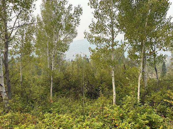 10 Acres of Recreational & Residential Land for Sale in Colville, Washington