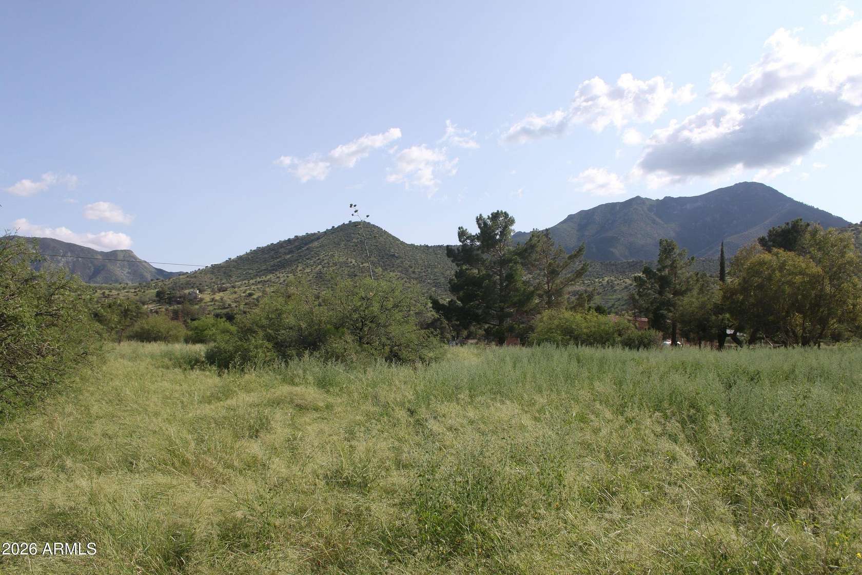 1 Acre of Land for Sale in Hereford, Arizona