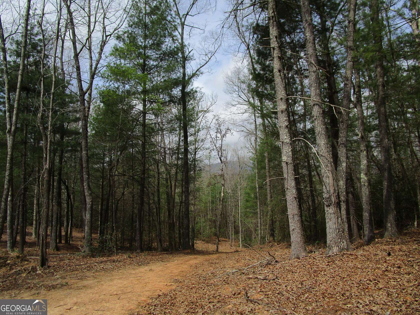 5 Acres of Residential Land for Sale in Ellijay, Georgia