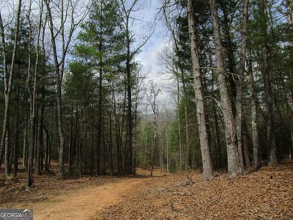 5 Acres of Residential Land for Sale in Ellijay, Georgia