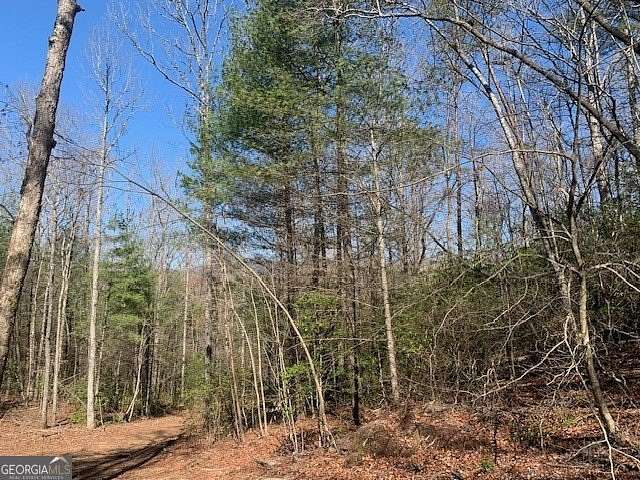 6.15 Acres of Land for Sale in Ellijay, Georgia
