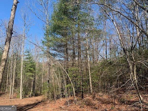 6.15 Acres of Land for Sale in Ellijay, Georgia