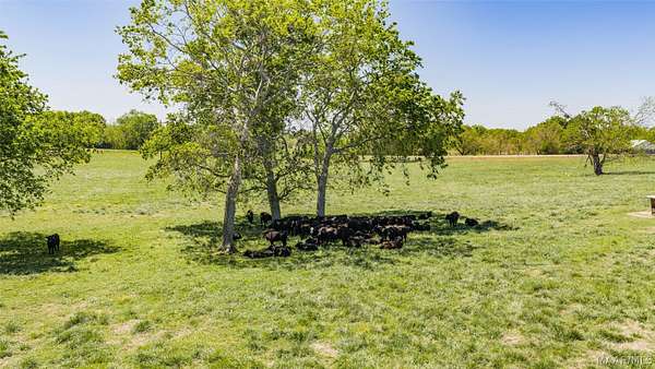 11.4 Acres of Land for Sale in Pike Road, Alabama