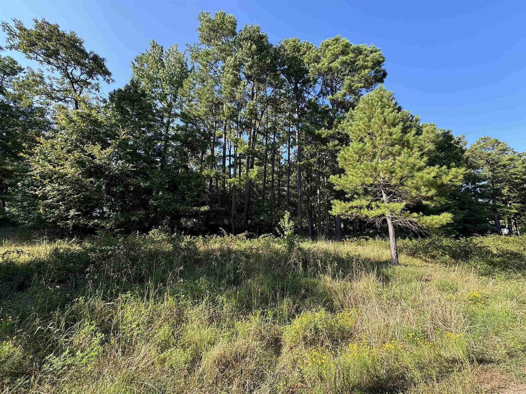1.17 Acres of Residential Land for Sale in Heber Springs, Arkansas