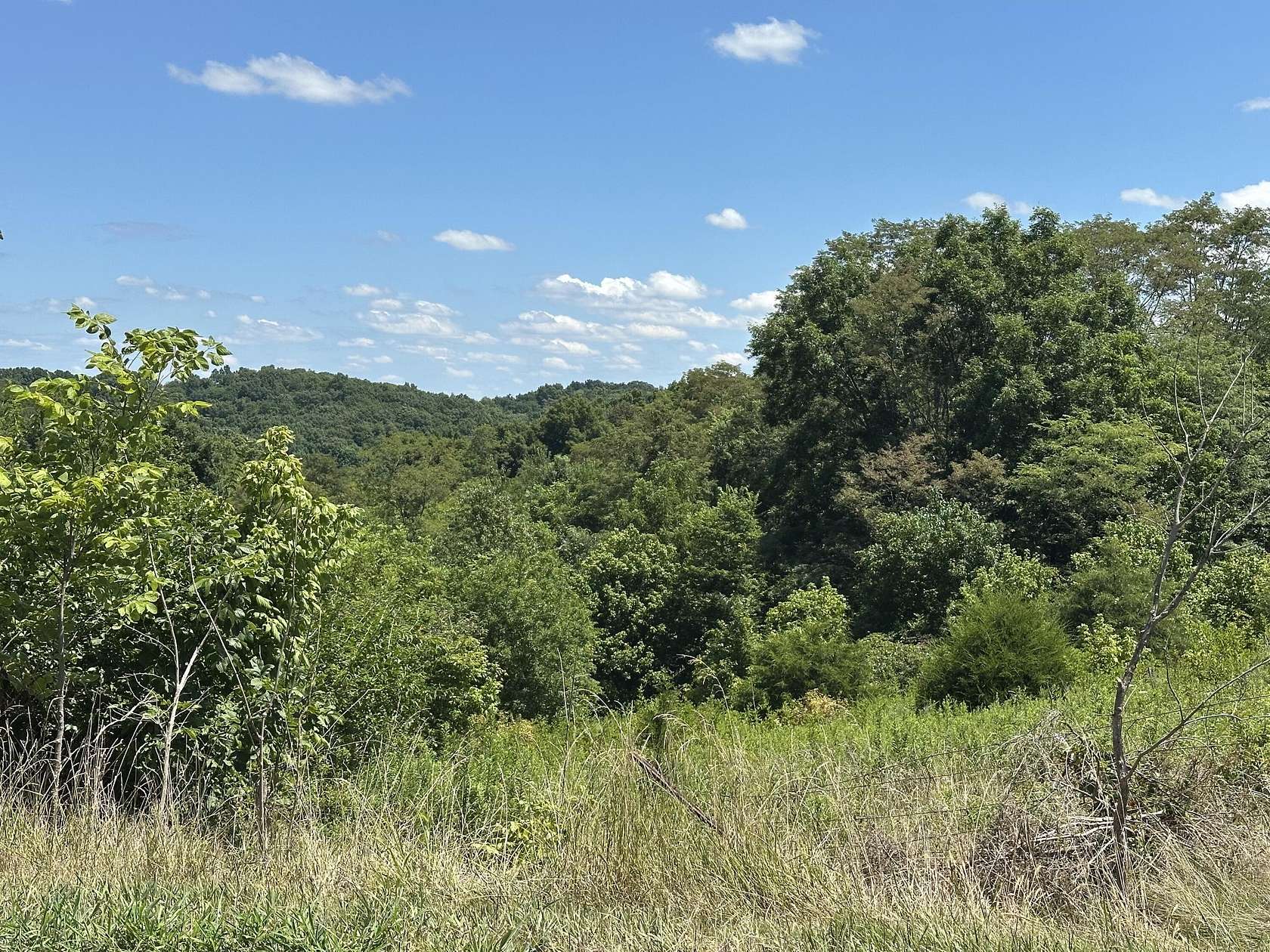 101 Acres of Recreational Land for Sale in Sadieville, Kentucky