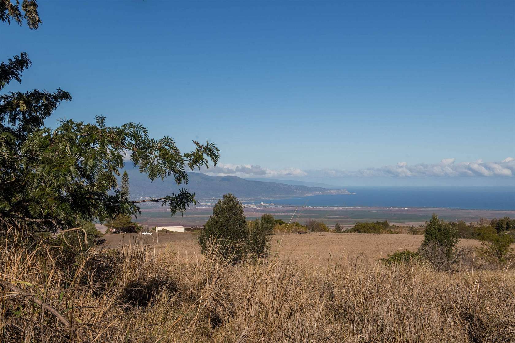 20 Acres of Agricultural Land for Sale in Kula, Hawaii