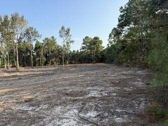 2 Acres of Residential Land for Sale in Carriere, Mississippi