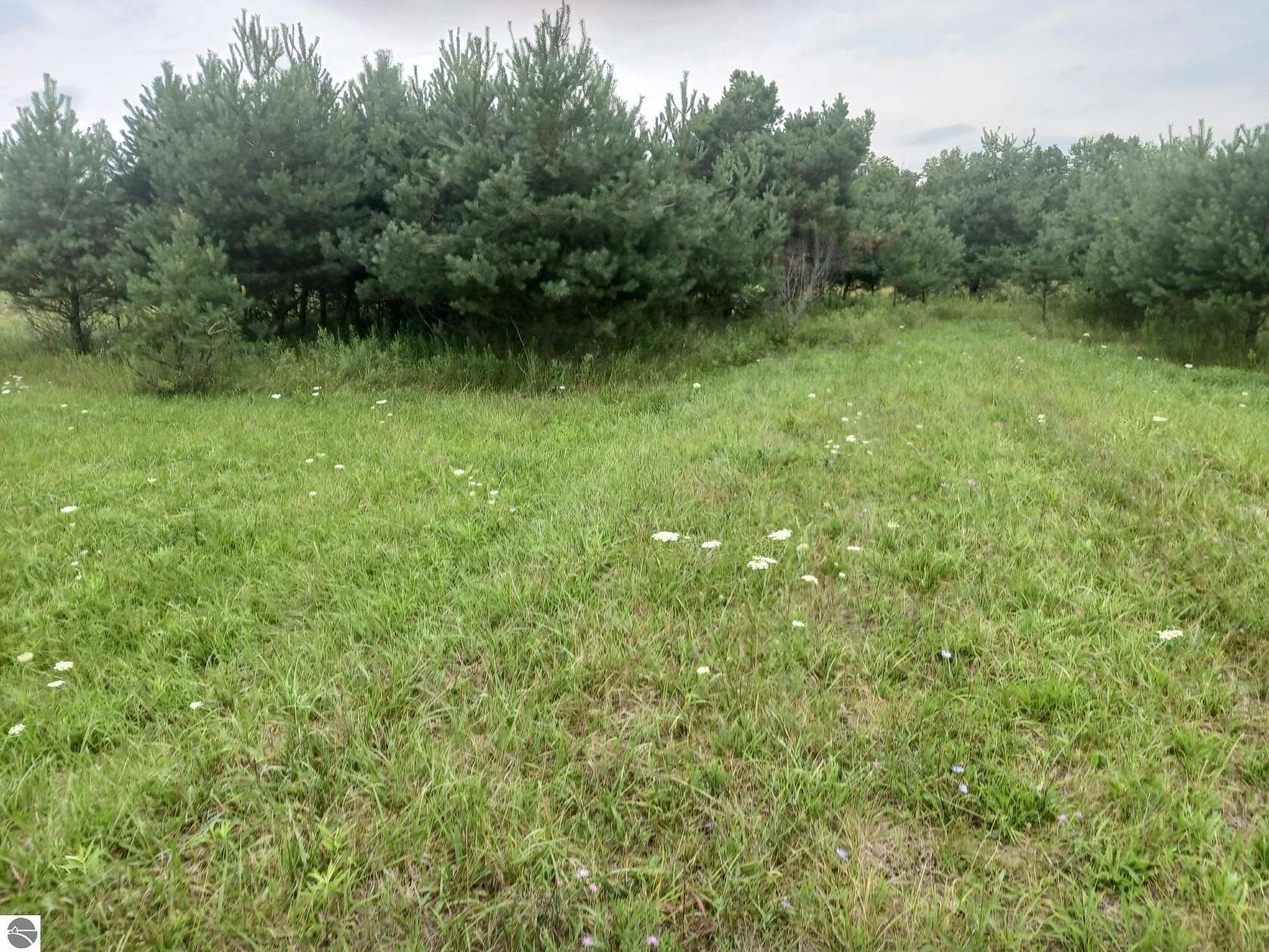 5 Acres of Residential Land for Sale in Prescott, Michigan