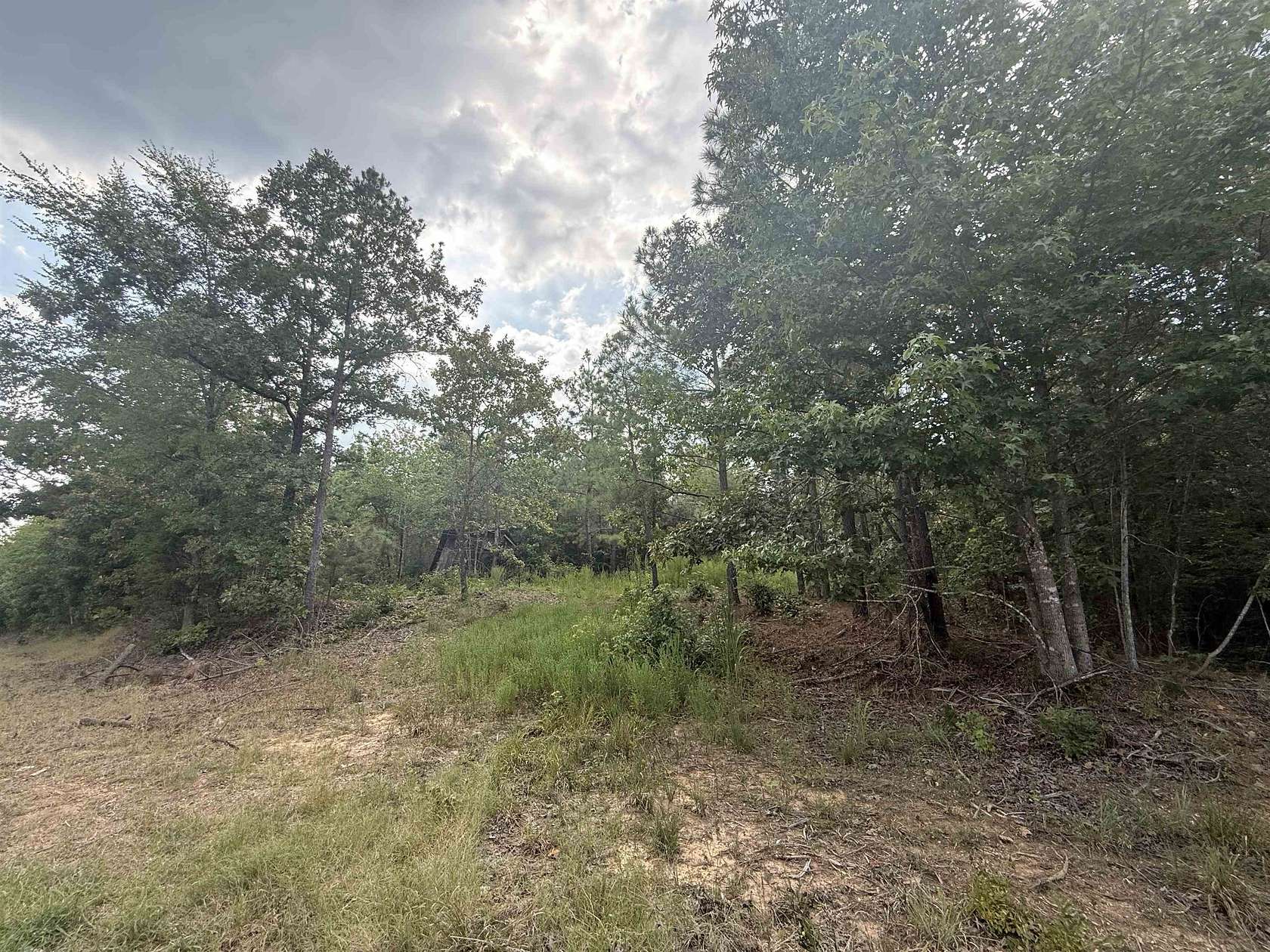 30.5 Acres of Land for Sale in Selmer, Tennessee