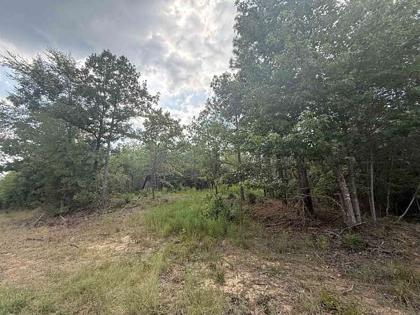 30.5 Acres of Land for Sale in Selmer, Tennessee