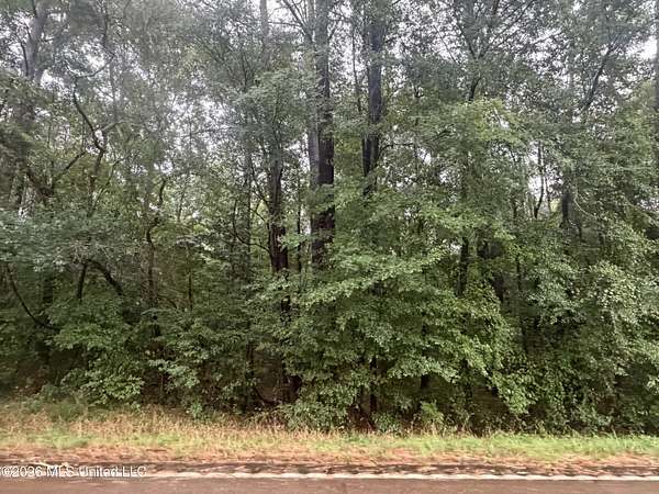 3.4 Acres of Residential Land for Sale in Mendenhall, Mississippi