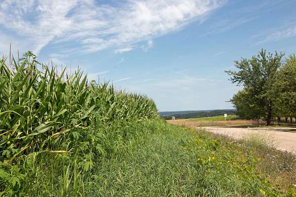 13.2 Acres of Land for Sale in Ridgeway, Wisconsin