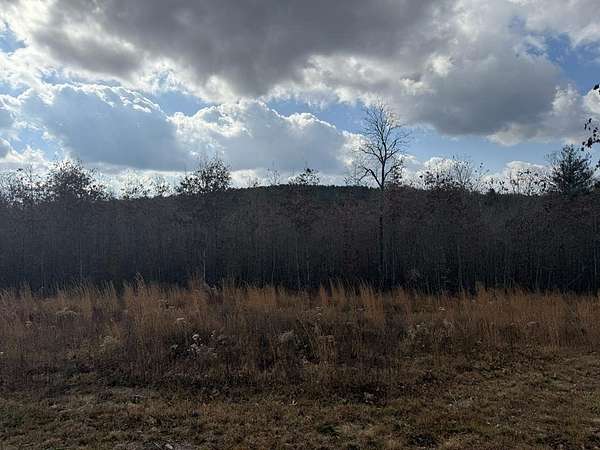 6.25 Acres of Land for Sale in Deer Lodge, Tennessee