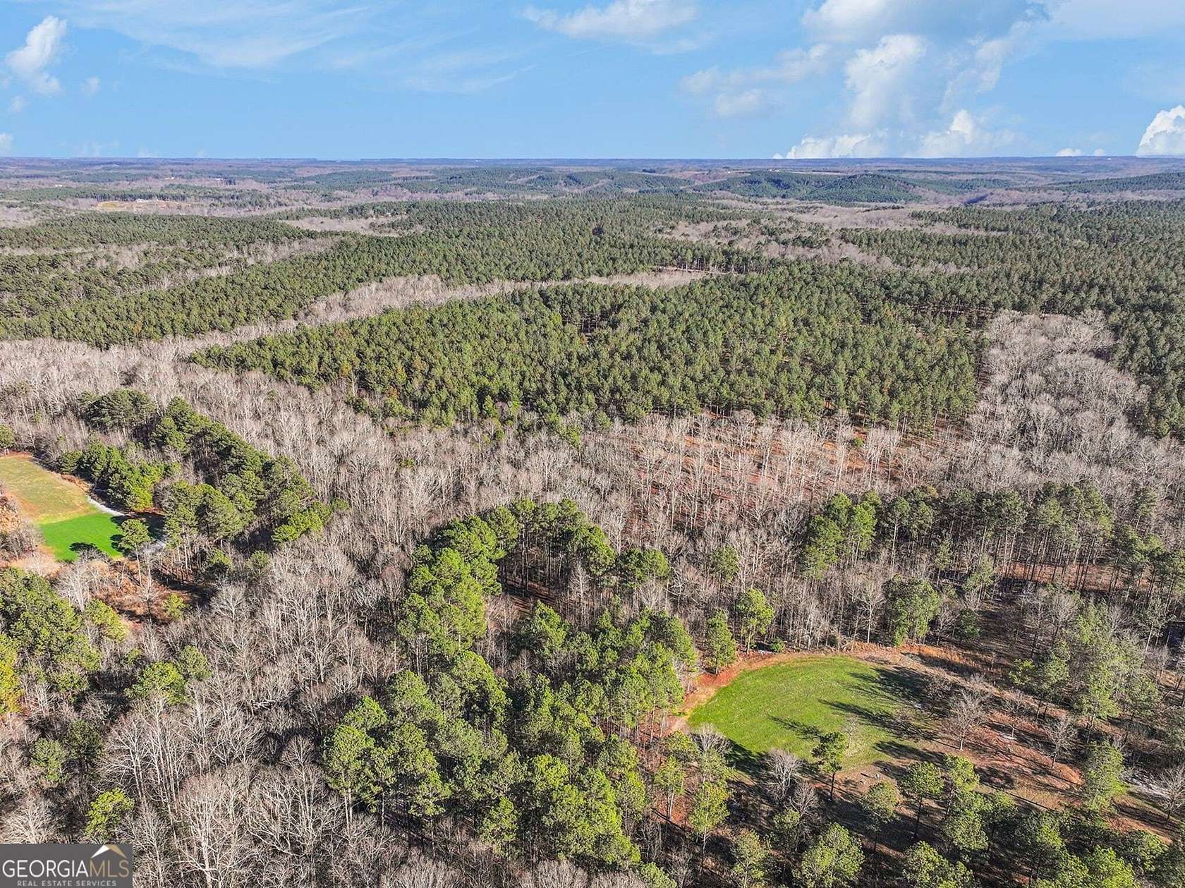63.3 Acres of Land for Sale in Comer, Georgia