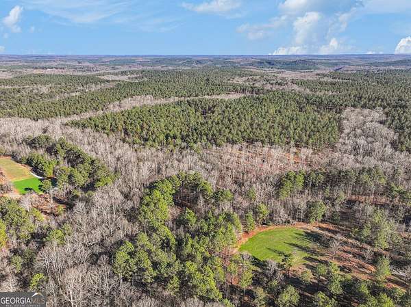 63.3 Acres of Land for Sale in Comer, Georgia