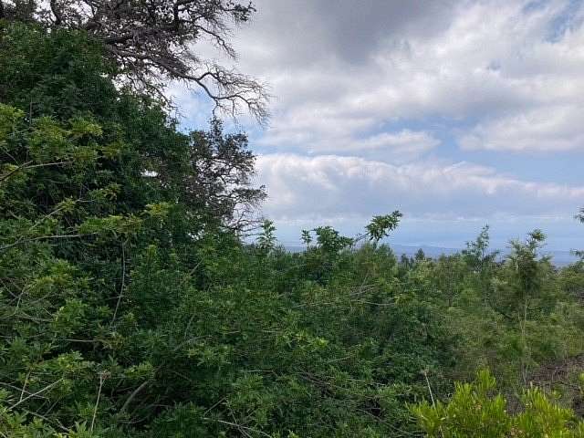 1 Acre of Land for Sale in Hawaiian Ocean View, Hawaii