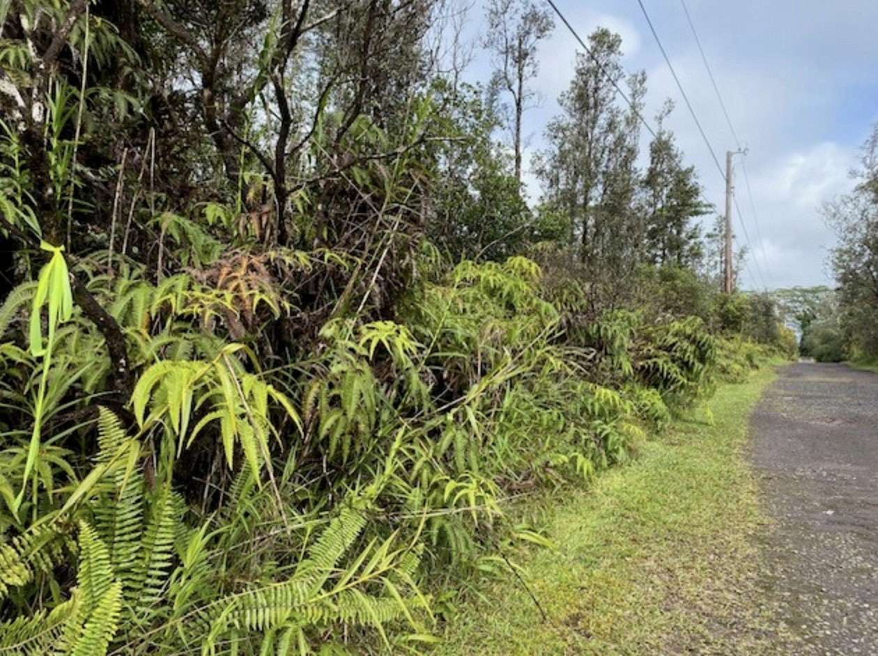 3 Acres of Residential Land for Sale in Kurtistown, Hawaii