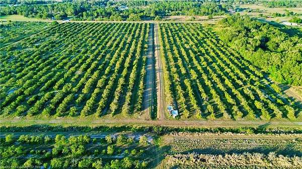 19.7 Acres of Land for Sale in Lorida, Florida