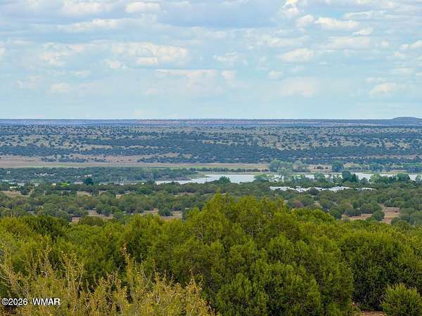10 Acres of Residential Land for Sale in Show Low, Arizona