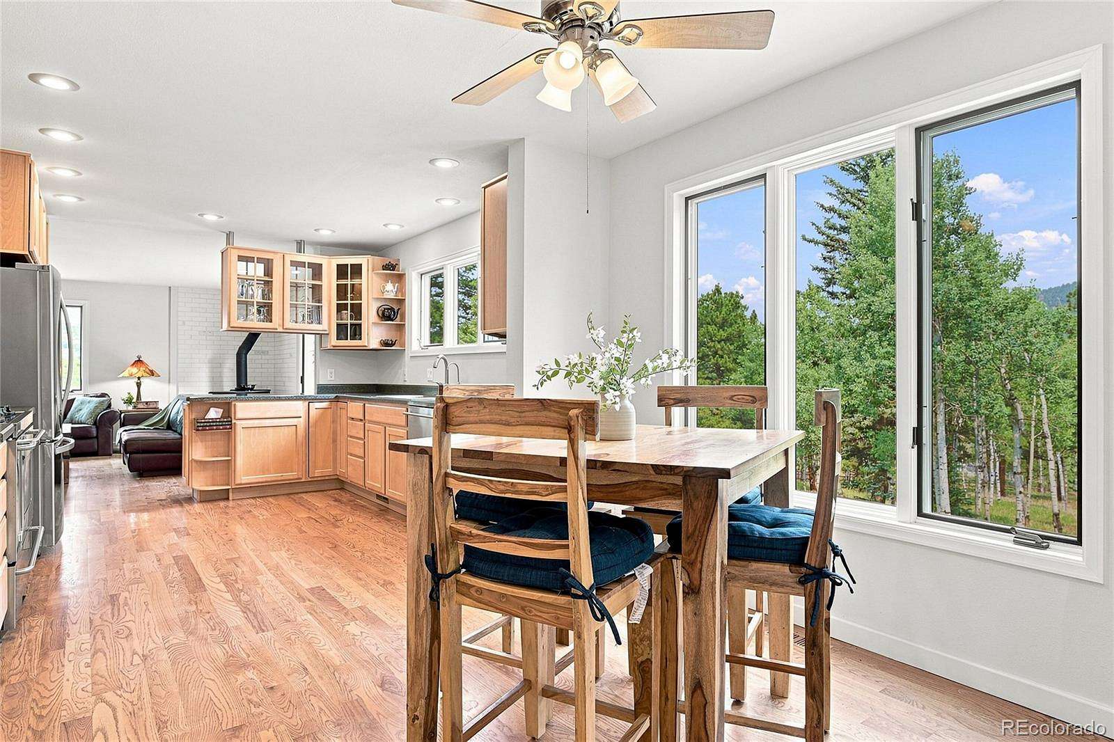 3.25 Acres of Land with Home for Sale in Conifer, Colorado
