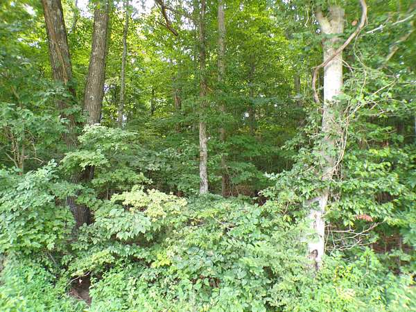 4.63 Acres of Residential Land for Sale in Paoli, Indiana