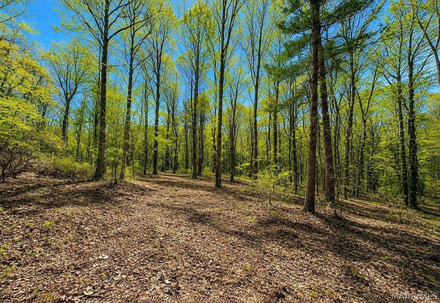 1.9 Acres of Residential Land for Sale in Fultondale, Alabama