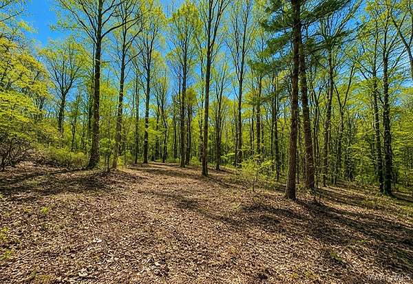 1.9 Acres of Residential Land for Sale in Fultondale, Alabama