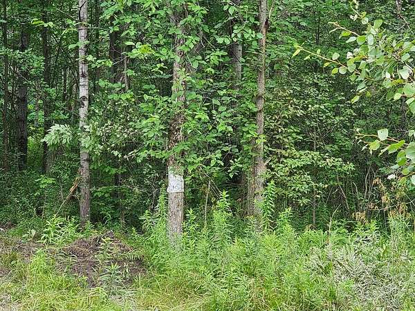 10 Acres of Land for Sale in Osceola, Pennsylvania