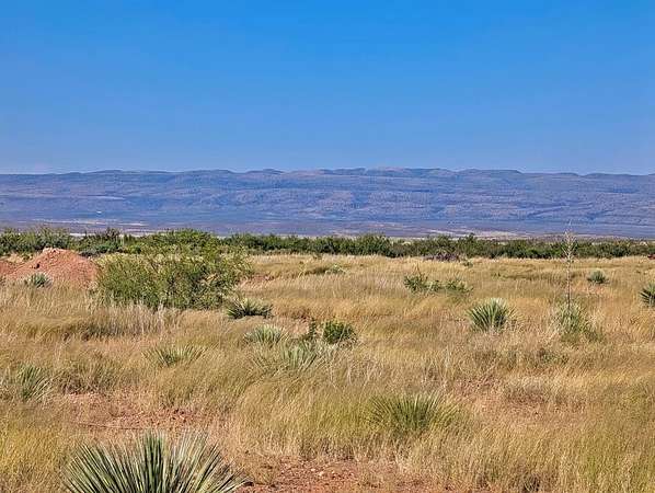 1.3 Acres of Mixed-Use Land for Sale in Valentine, Texas