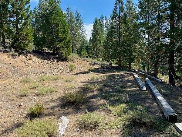 10 Acres of Recreational & Residential Land for Sale in Portola, California