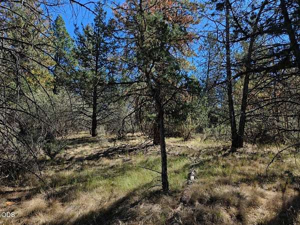 2 Acres of Residential Land for Sale in Bonanza, Oregon
