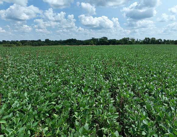 79 Acres of Land for Sale in Chariton, Iowa