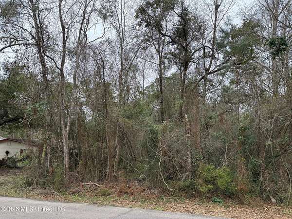 0.27 Acres of Residential Land for Sale in Diamondhead, Mississippi