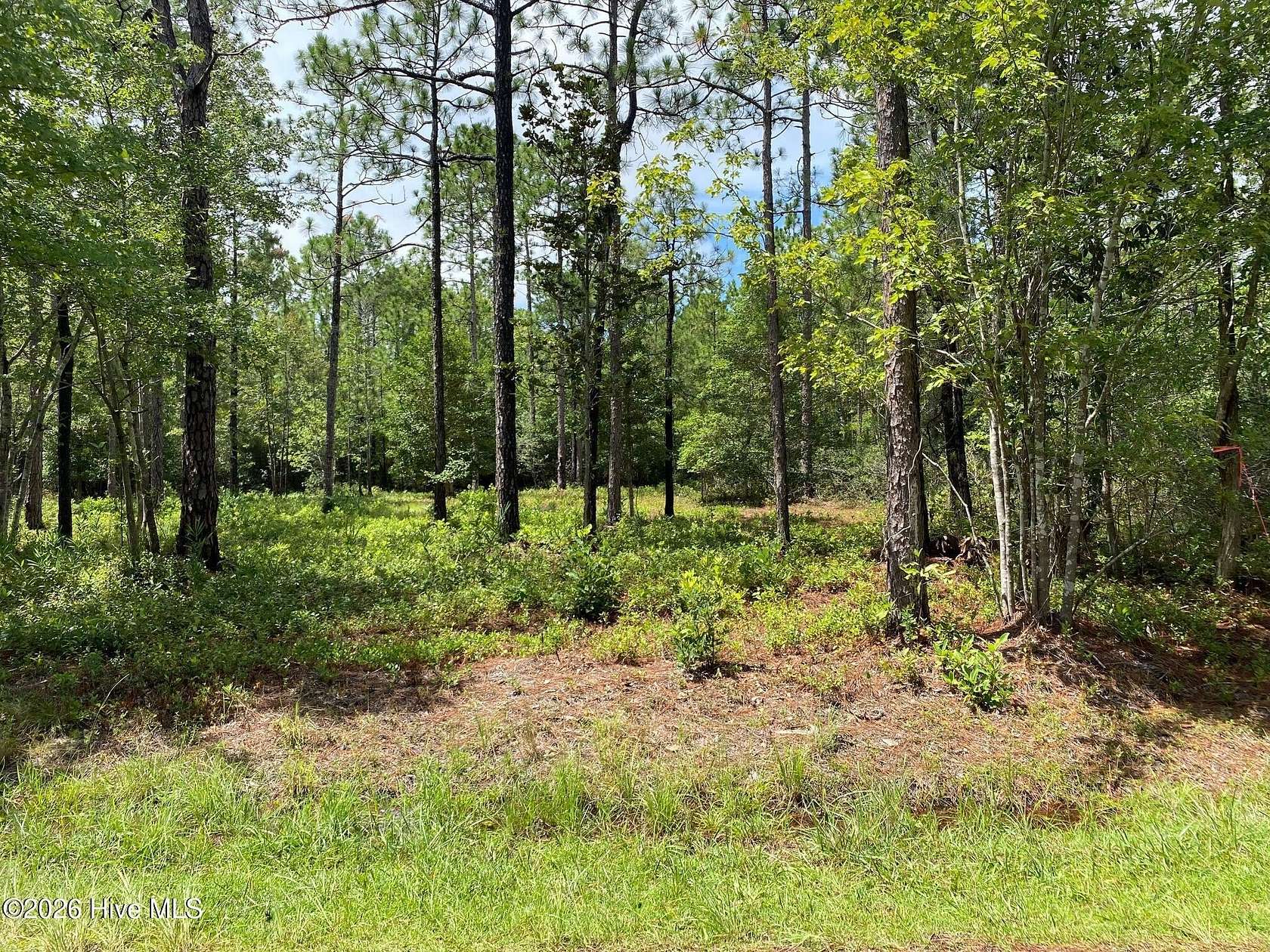 0.48 Acres of Residential Land for Sale in Boiling Spring Lakes, North Carolina