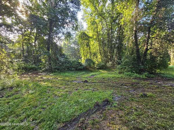 5.23 Acres of Land for Sale in Belhaven, North Carolina