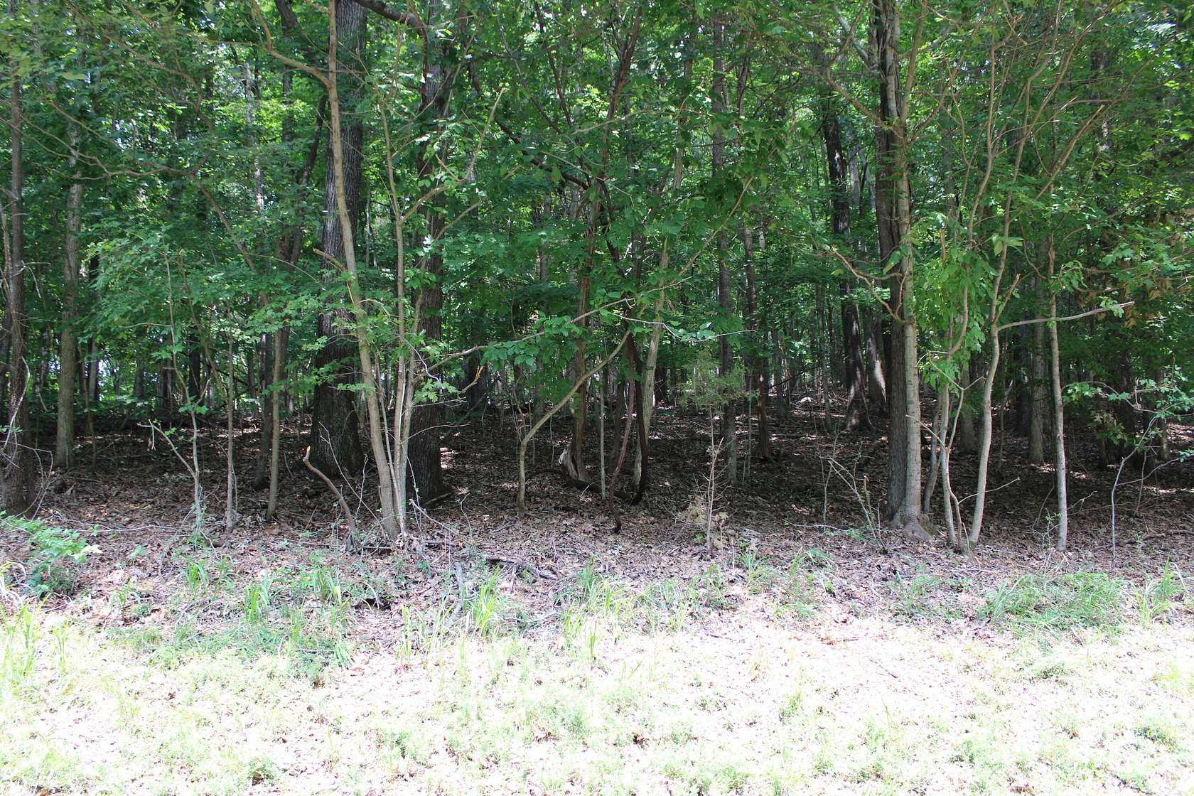 0.65 Acres of Residential Land for Sale in Eddyville, Kentucky