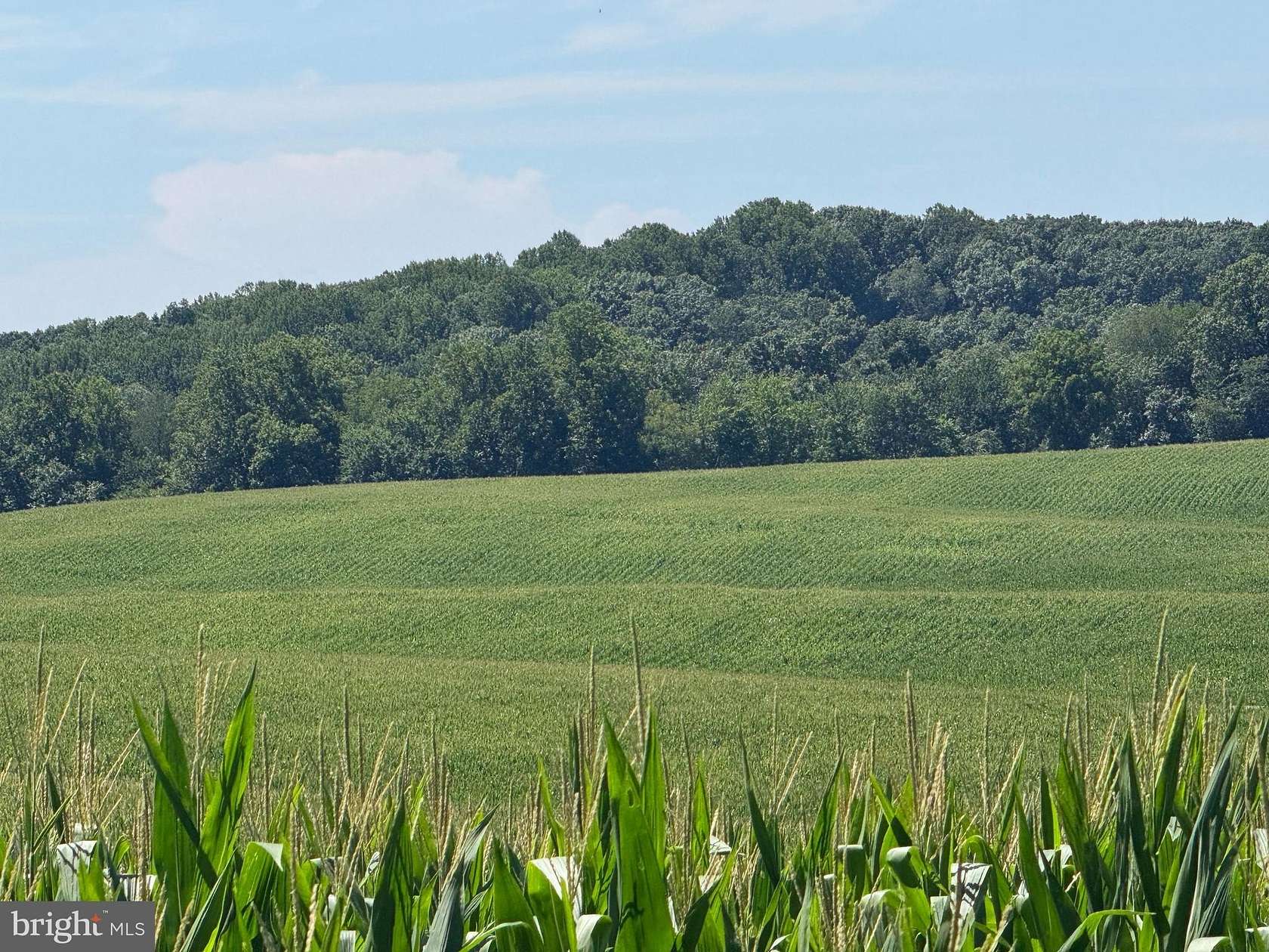 119 Acres of Land for Sale in Westminster, Maryland