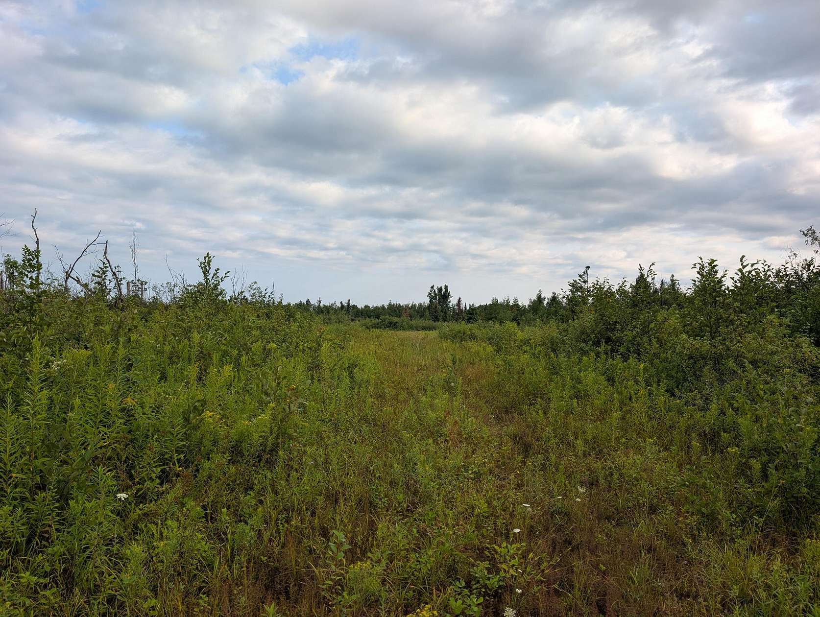 43.6 Acres of Recreational & Residential Land for Sale in Lachine, Michigan