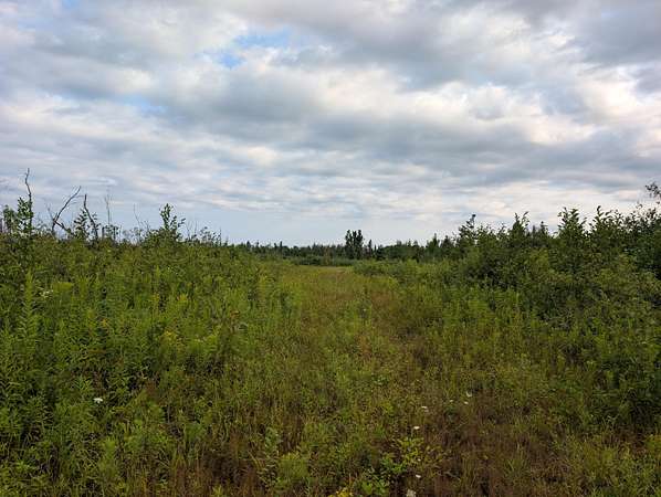 43.6 Acres of Recreational & Residential Land for Sale in Lachine, Michigan