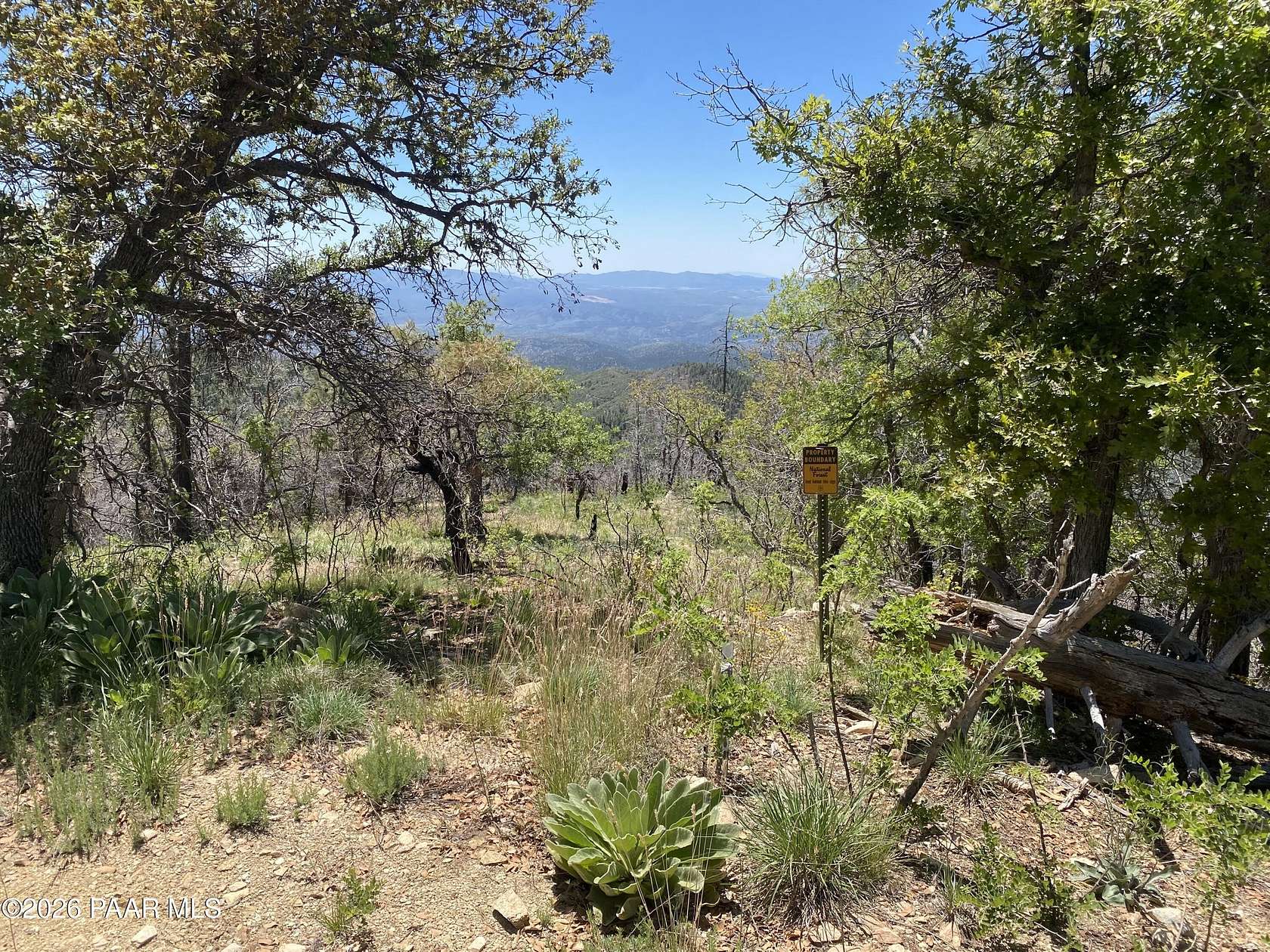 4 Acres of Residential Land for Sale in Prescott, Arizona