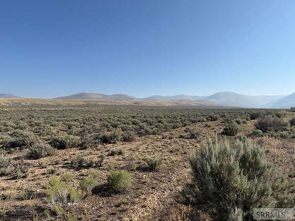 9.88 Acres of Residential Land for Sale in Leadore, Idaho