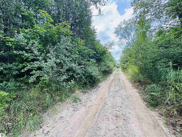 4.22 Acres of Residential Land for Sale in Manton, Michigan