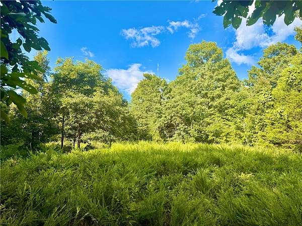 9 Acres of Residential Land for Sale in Peel, Arkansas