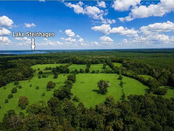 113 Acres of Land with Home for Sale in Woodville, Texas