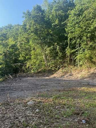15.7 Acres of Recreational & Residential Land for Sale in Delbarton, West Virginia