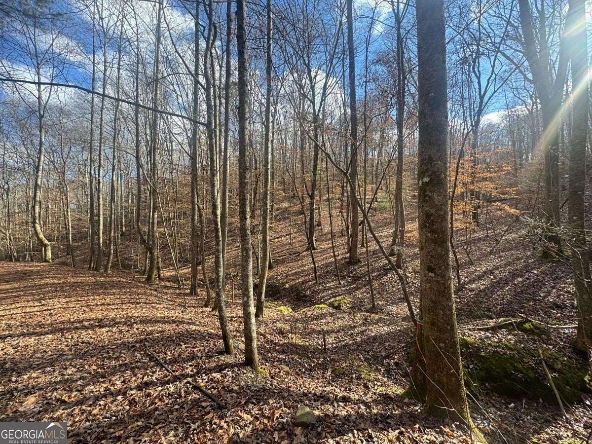 0.96 Acres of Residential Land for Sale in Ellijay, Georgia