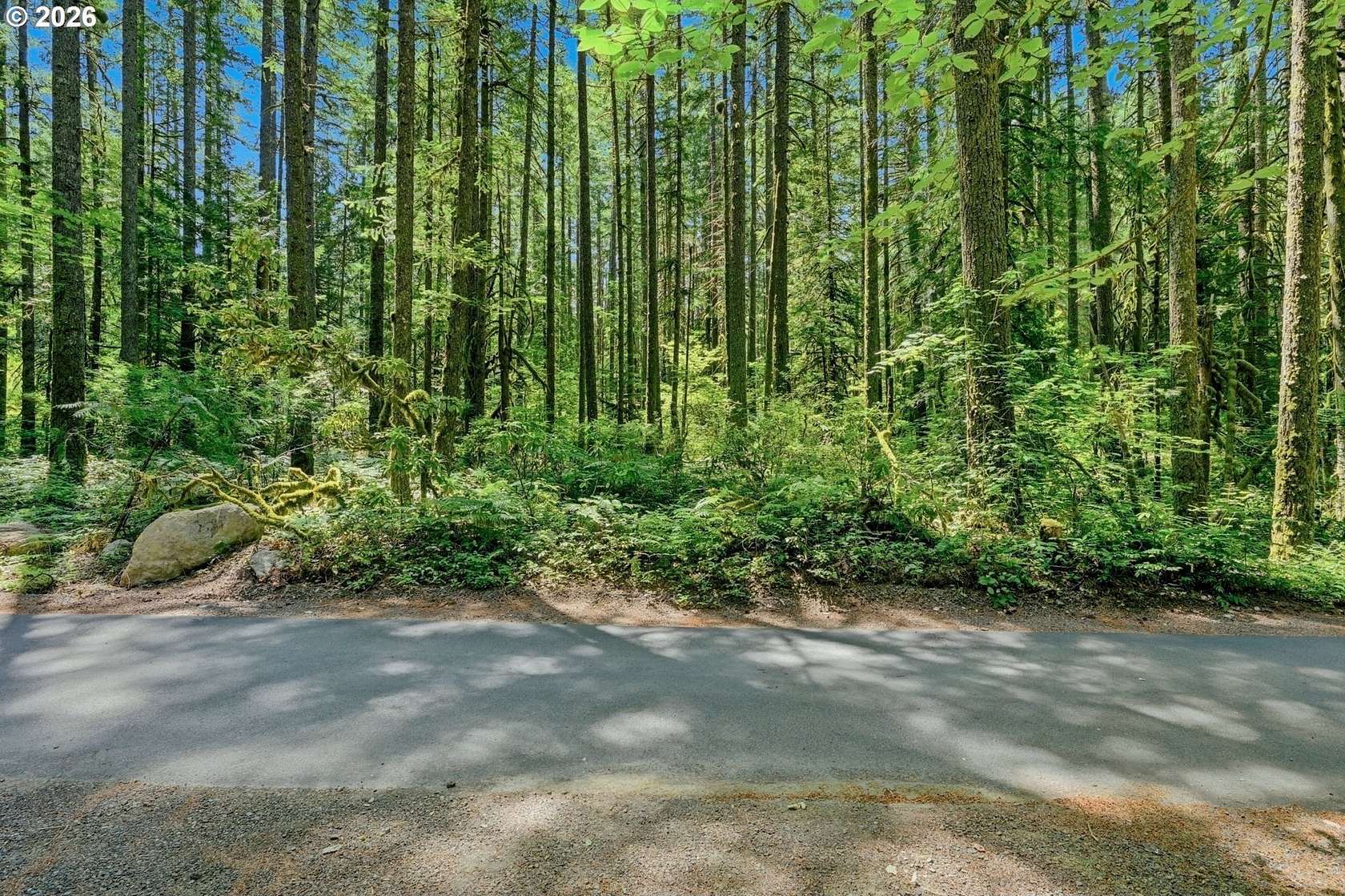 0.46 Acres of Residential Land for Sale in Rhododendron, Oregon