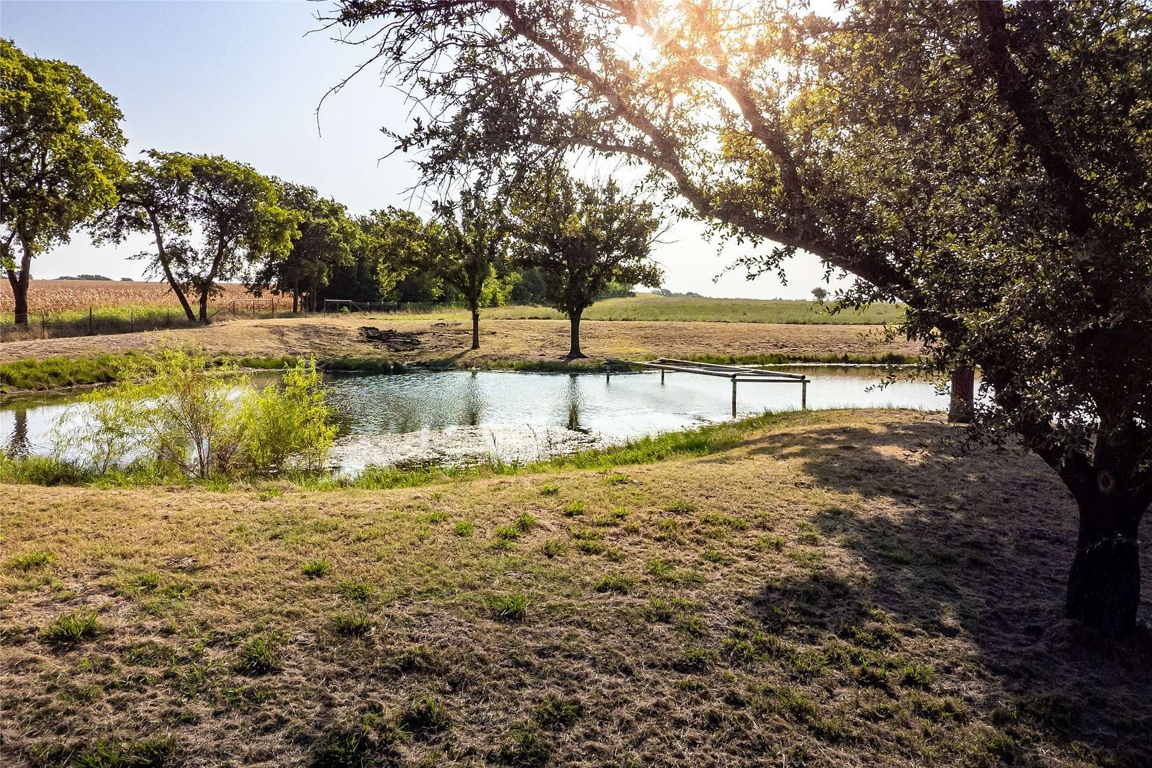 14.2 Acres of Land for Sale in Blue Ridge, Texas